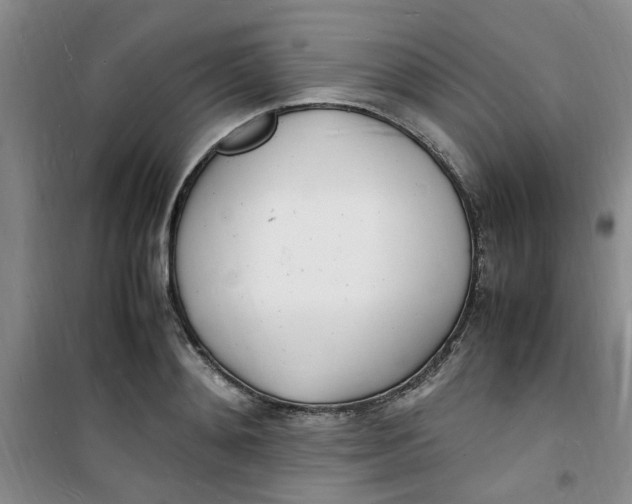 X0000100980892200807151413