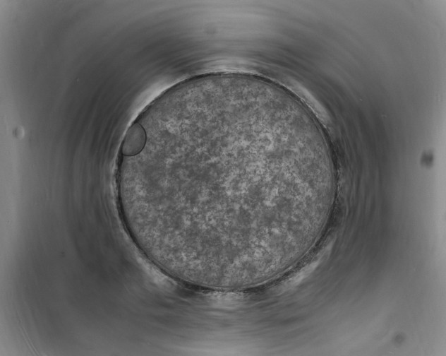 X0000100980893200807151413