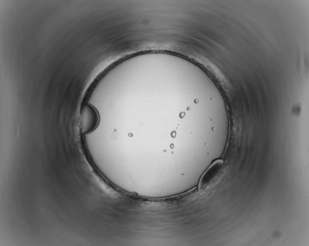 X0000100980894200807151413