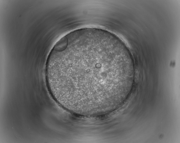 X0000100980895200807151413