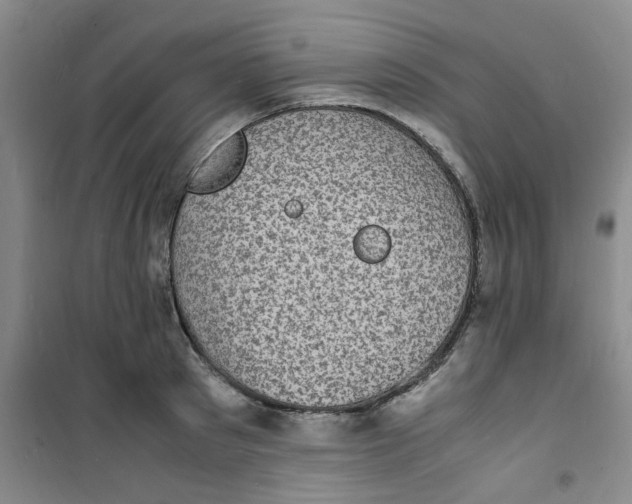 X0000100980897200807151413