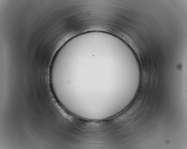 X0000100980898200807151413