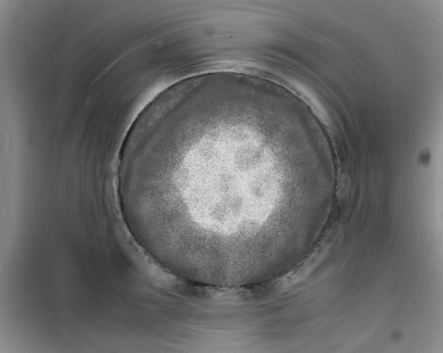 X0000100980899200807151413