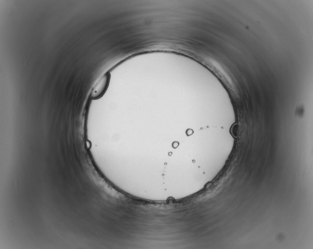 X0000100980900200807151413