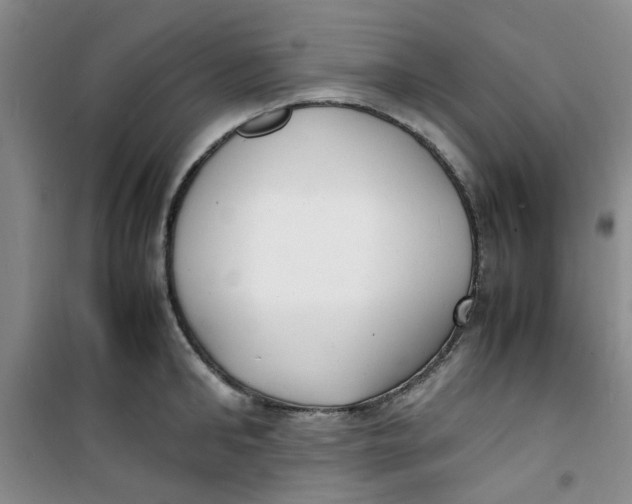 X0000100980902200807151412