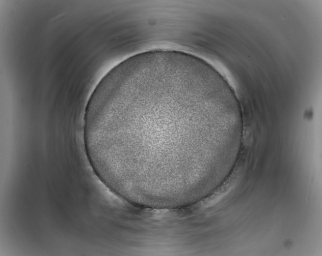 X0000100980903200807151412