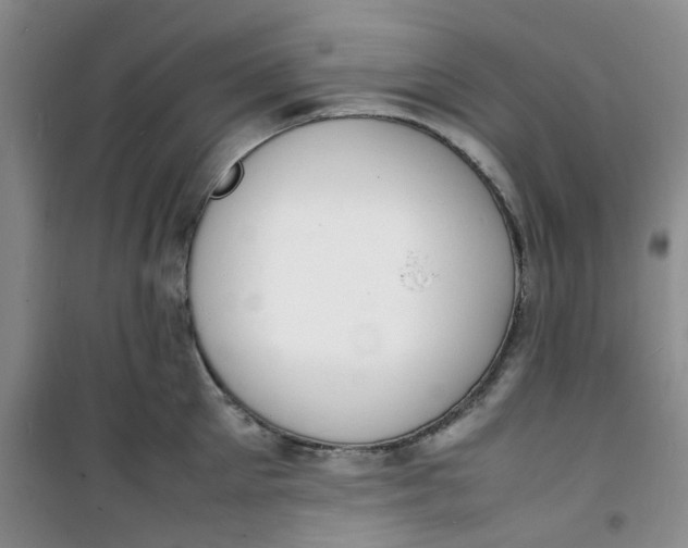 X0000100980905200807151412