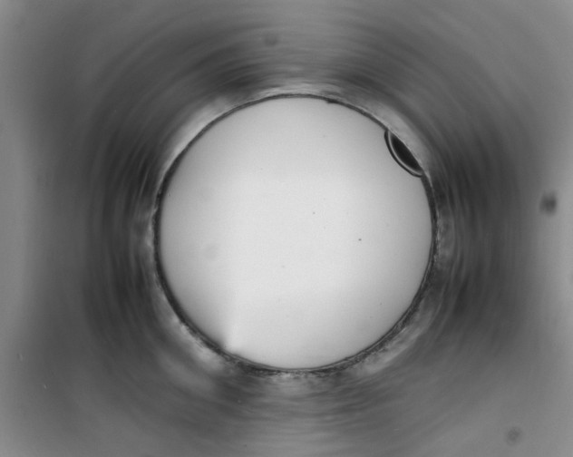 X0000100980906200807151412