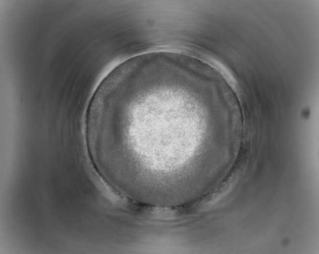 X0000100980907200807151412