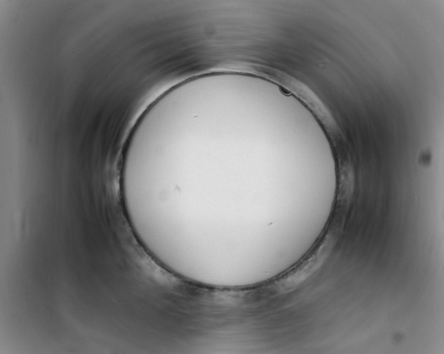 X0000100980908200807151412