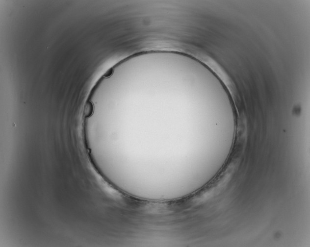 X0000100980909200807151412