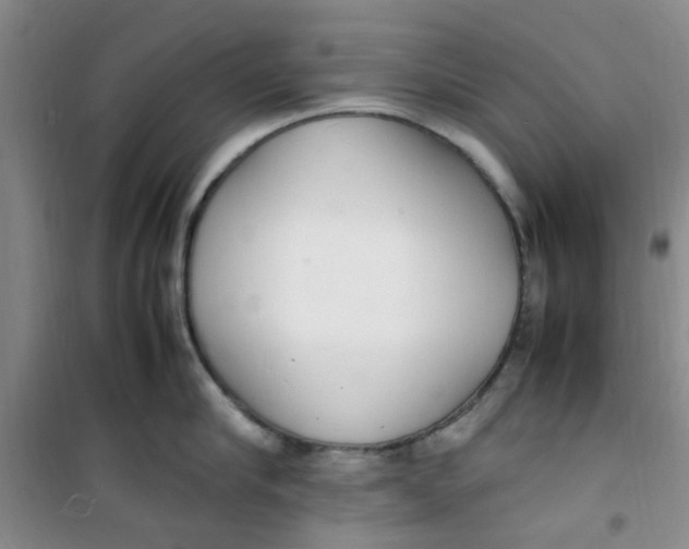 X0000100980910200807151412