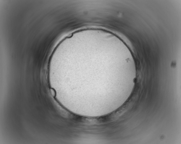 X0000100980911200807151412