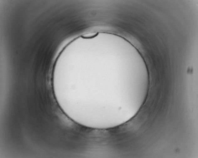 X0000100980912200807151412