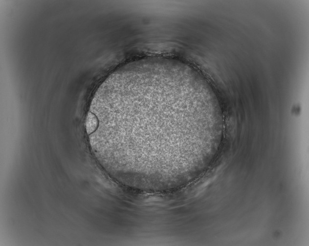 X0000100980913200807151411