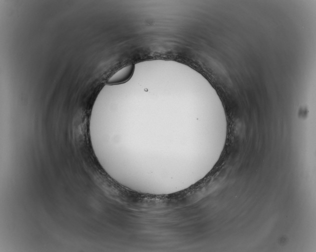 X0000100980914200807151411