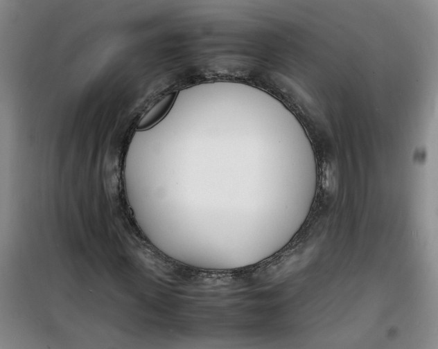 X0000100980915200807151411