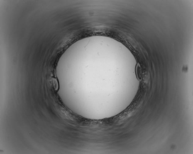 X0000100980916200807151411