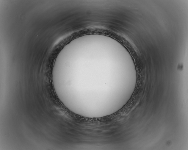 X0000100980919200807151412