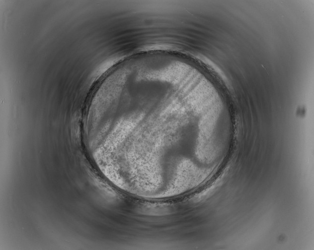 X0000100980921200807151412