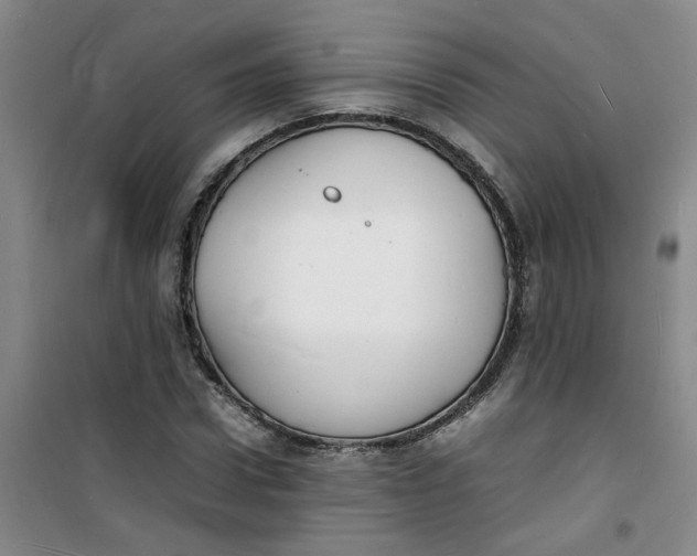 X0000100980922200807151412