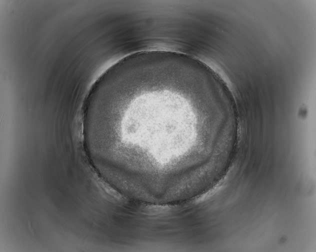 X0000100980925200807151412