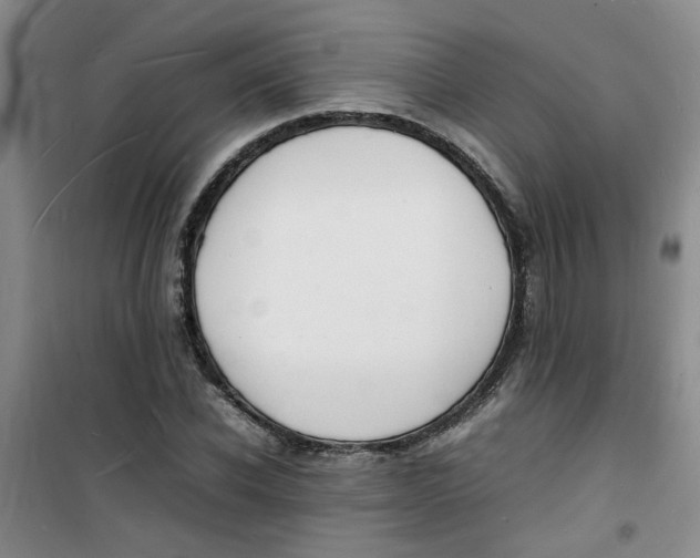 X0000100980926200807151412