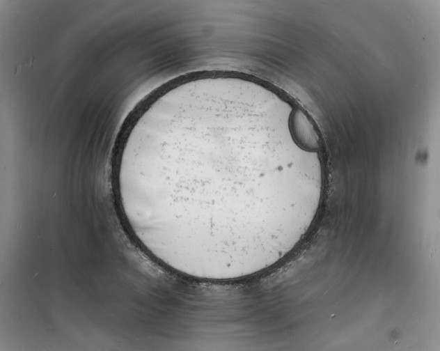 X0000100980928200807151412