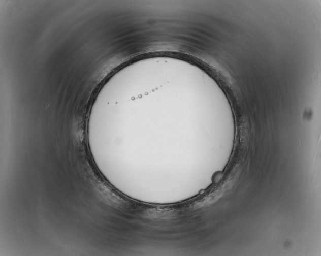 X0000100980929200807151412