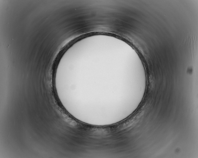 X0000100980931200807151412