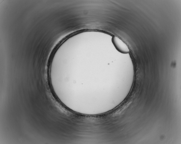 X0000100980932200807151412