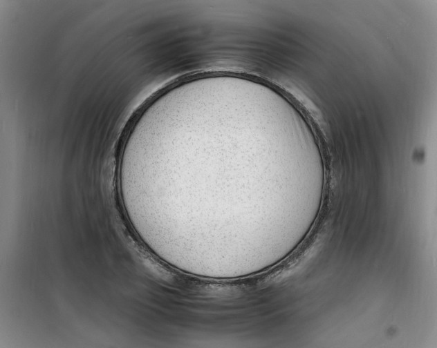 X0000100980933200807151412