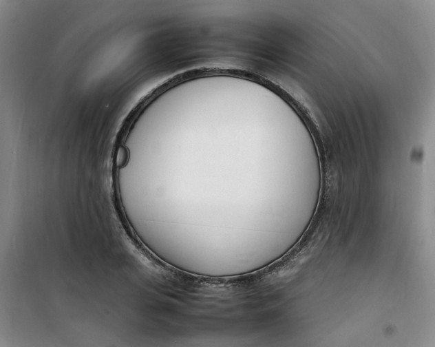 X0000100980935200807151412