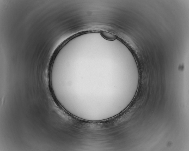 X0000100980936200807151412