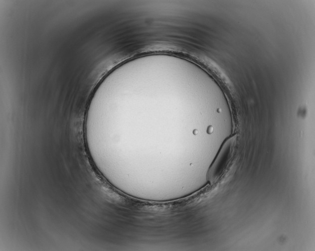 X0000100980937200807151412