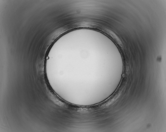 X0000100980938200807151412