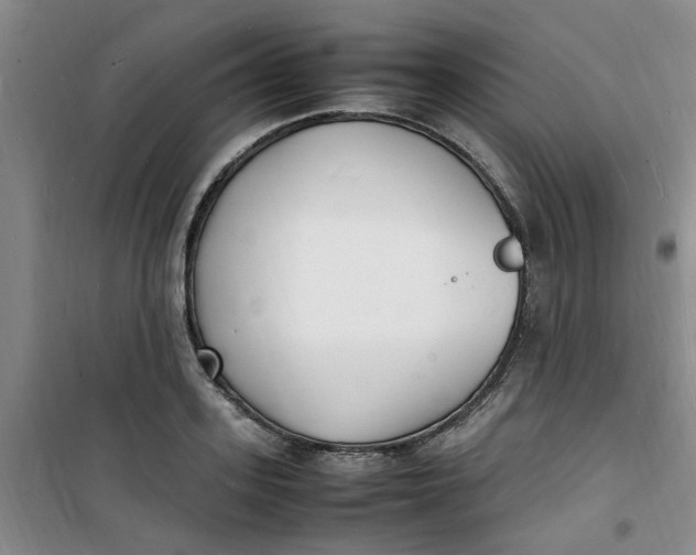 X0000100980939200807151412