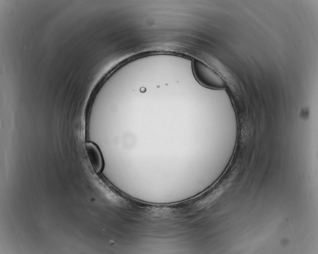 X0000100980940200807151412