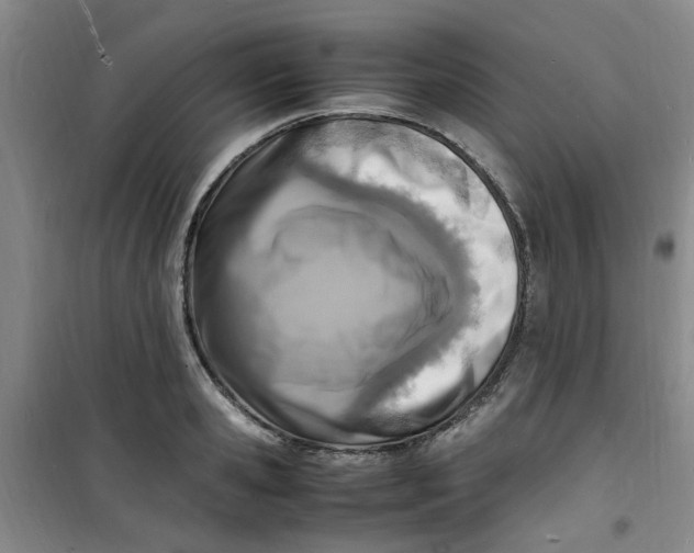 X0000100980941200807151412