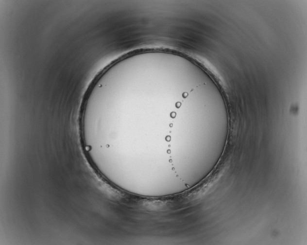 X0000100980943200807151412