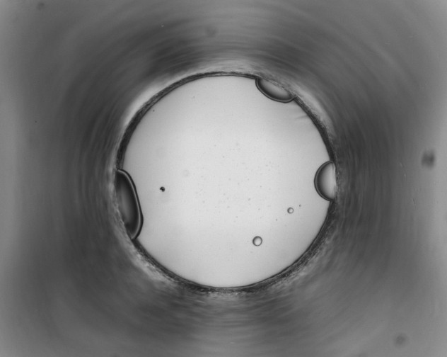 X0000100980944200807151412