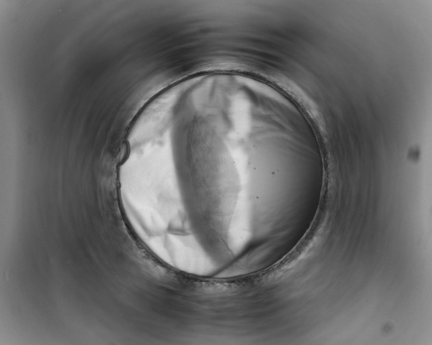 X0000100980945200807151412