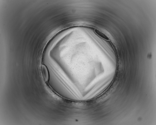 X0000100980946200807151412