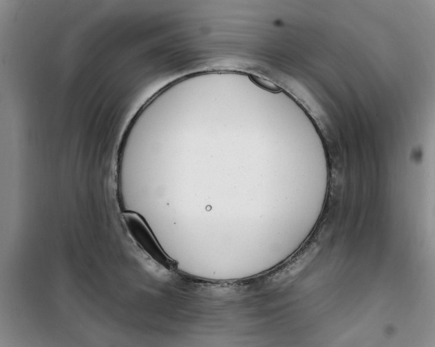 X0000100980948200807151412