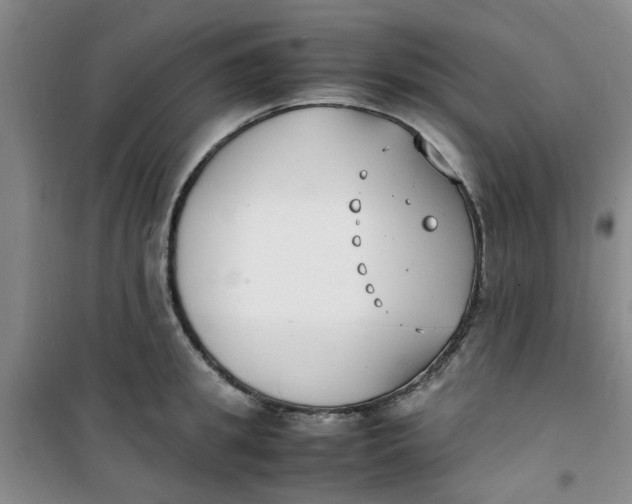 X0000100980949200807151412