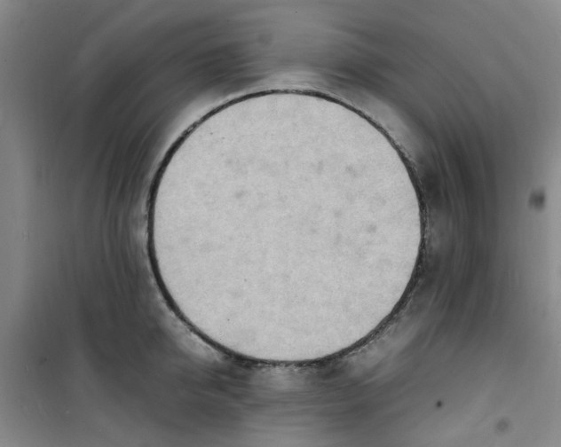 X0000100980950200807151412