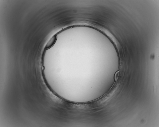 X0000100980951200807151412