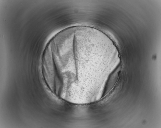 X0000100980952200807151412