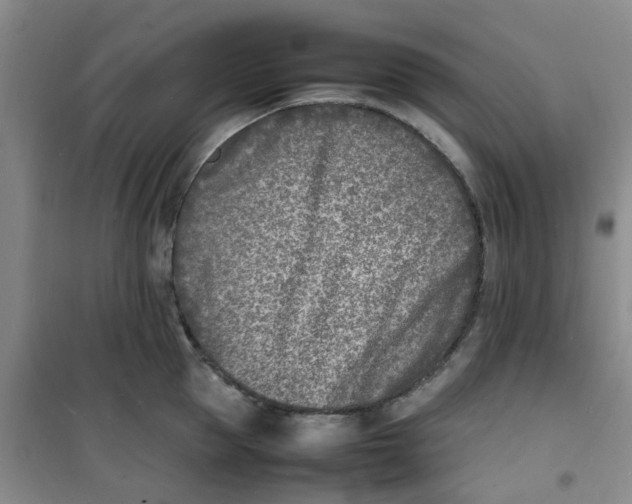 X0000100980953200807151412