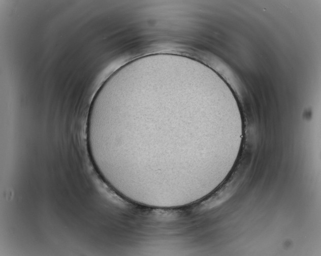 X0000100980954200807151412